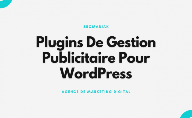 Plugins De Gestion Publicitaire Pour WordPress