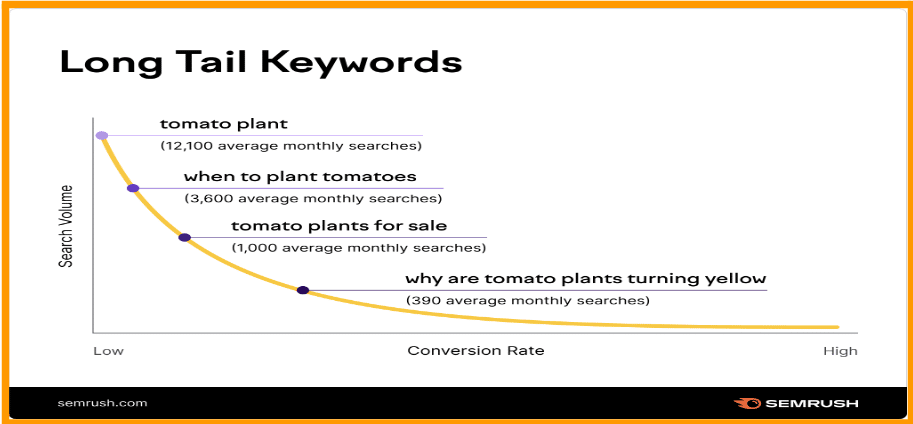 long tail keywords exemple de semrush