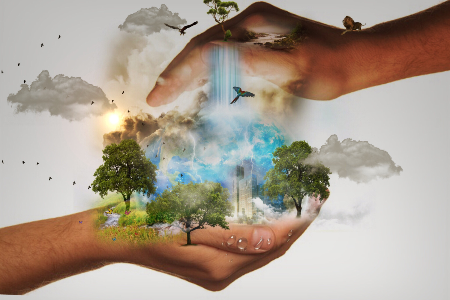 Marketing Responsable