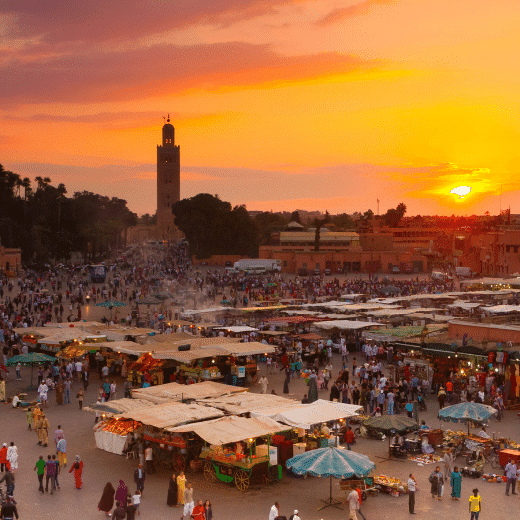Agence SEO Marrakech - Référencement et stratégie digitale